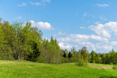 简单的平原乡村春天的风景与新鲜的绿色草地和森林。蓝天结束