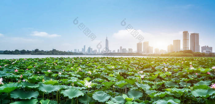 南京玄武湖与建筑垃圾的天际线 垃圾中转站