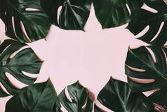粉红色表面龟背竹叶框架的顶部视图