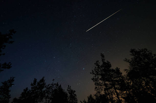 夜景，星空繁茂，林间有<strong>流星雨</strong>。长时间曝光拍摄