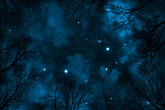 布满星星的夜空，与蓝色星云，视图槽树在森林里的幽灵般的低角度观