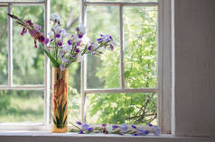 窗台上花瓶里的虹膜