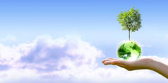 世界地球日卡片。植树，臭氧日的概念。保护环境，拯救和保护绿色地球和生态。云天背景下的地球水晶球和生长中的树.