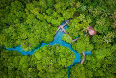 泰国克拉比的Tha Pom Klong Song Nam红树林或翡翠池的空中景观图像是在红树林中看不到的水池