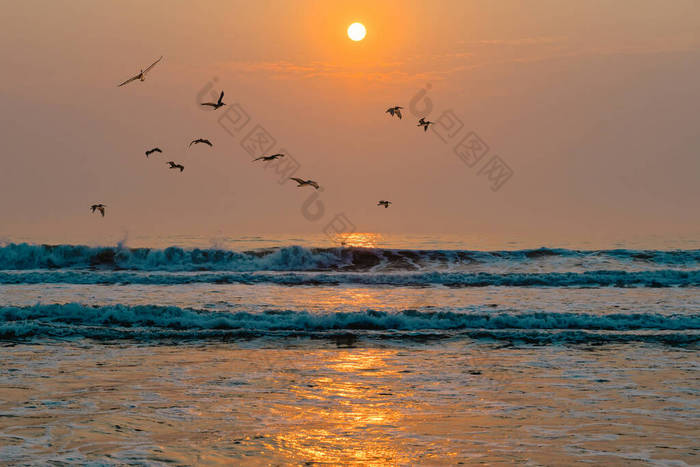 风景秀丽的海景,夕阳西下的大海.宁静的风景，美丽的阳光映照，成群的鸟儿