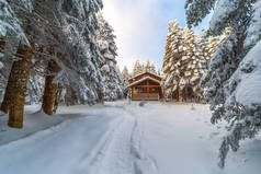 多雪的冬季景观，森林里有木制房屋。土耳其布尔萨Uludag山