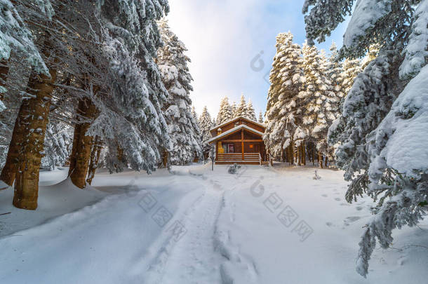 多雪的<strong>冬季</strong>景观，森林里有木制<strong>房屋</strong>。土耳其布尔萨Uludag山