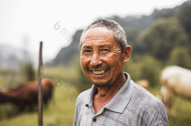 在背景中的牲畜的农民