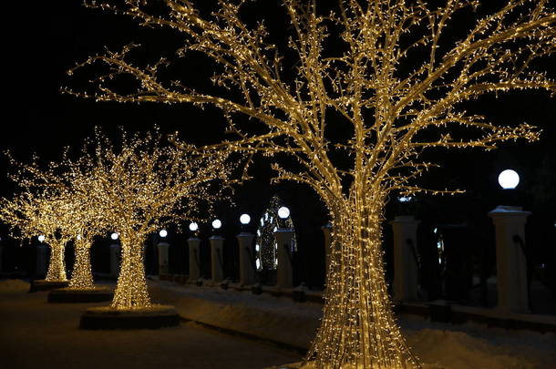 冬天的时候，公园里的街道上点缀着树木和闪亮的灯泡