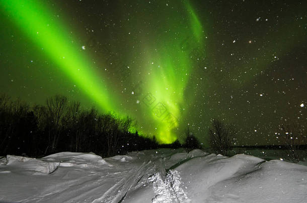 北极光, 北极光, 绿色, 紫色, 蓝色, 星星。北极, 冰岛, 俄国