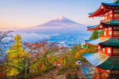 在日本山梨县的红叶树周围的红塔, 美丽的山富吉风景