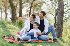 快乐的年轻家庭在夏天的日子里，坐在绿草上，在大自然美丽的公园里玩乐。快乐的家庭.