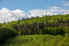 在蓝天的映衬下，绿油油的山峦闪烁着云彩.