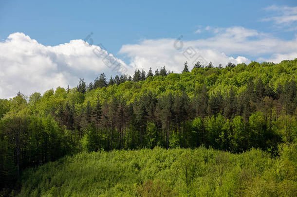 在蓝天的映衬下，绿油油的山峦闪烁着云彩.