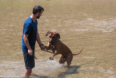 快乐的年轻人和他的狗在河里游泳的乐趣。爱 