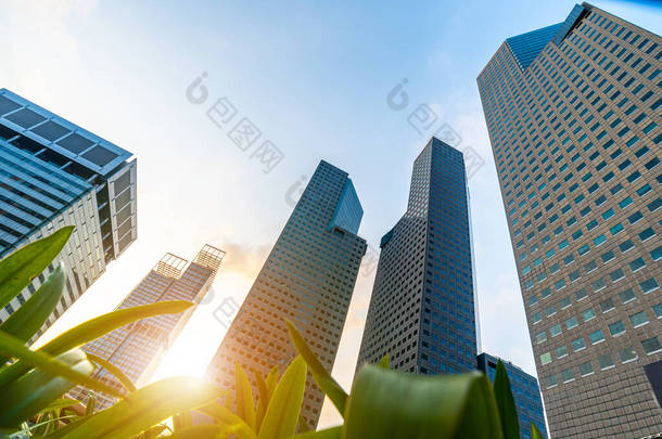 现代商业摩天大楼，高层建筑，建筑升天，阳光。金融、经济学、未来学等概念.