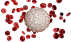 white blood cell,  leucocyte. 3d render