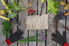 卡夫纸为您的文本包围许多花园手工工具和夏季收获