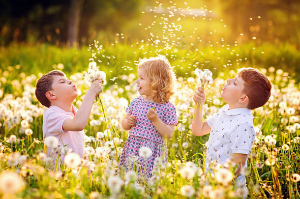 夏天，两个男孩和一个小女孩在大自然上吹蒲公英花。快乐<strong>健康</strong>的幼儿和学童与吹球，有乐趣。三个爱的<strong>家庭</strong>，在一起