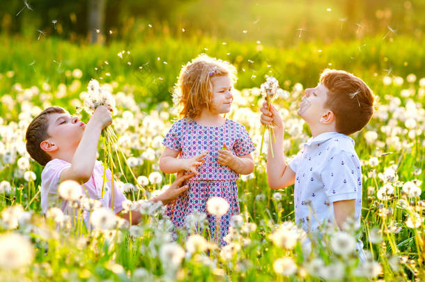 夏天，两个男孩和一个小女孩在大自然上吹蒲公英花。快乐健康的幼儿和学童与吹球，有乐趣。三个爱的家庭，在一起