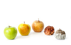 五个苹果中不同阶段的衰变