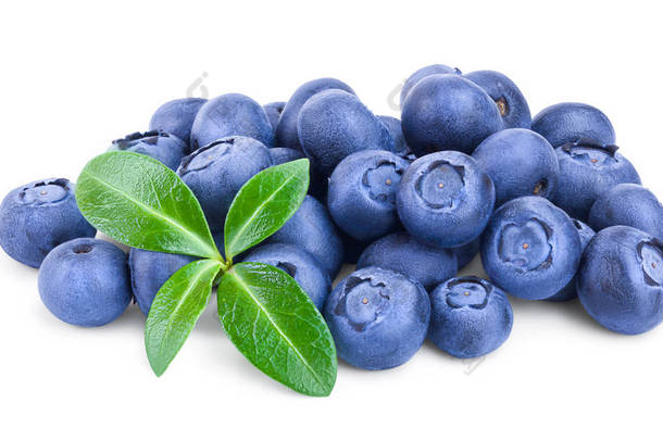 新鲜的蓝莓与叶子隔离在白色背景特写镜头