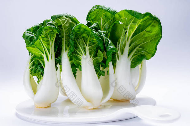 白色背脊上孤立的小有机白菜或白菜
