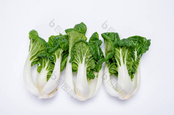 白色背脊上孤立的小有机白菜或白菜