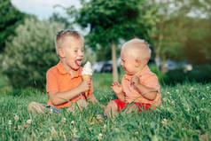 两个白人有趣的孩子男孩兄弟姐妹坐在一起吃共享一个冰淇淋。蹒跚学步的婴儿在哭，哥哥在戏弄他。爱羡慕嫉妒兄弟友谊.