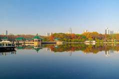 湖北武汉市东湖汀涛风景区晚秋风景