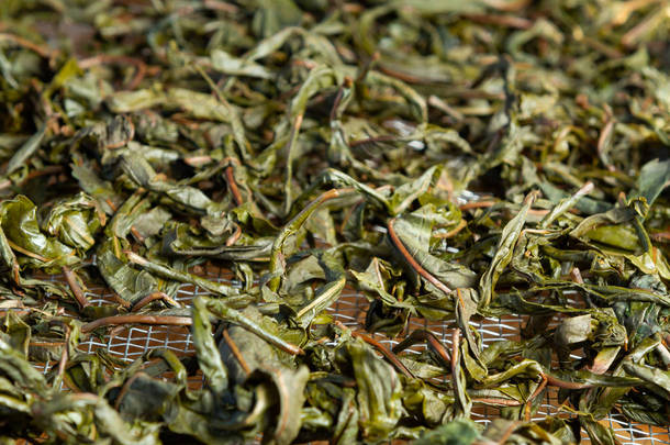 从盛开的萨利（称为俄罗斯伊万茶或科博雷茶）制作茶叶的过程，准备发酵的叶子，准备<strong>干燥</strong>叶子