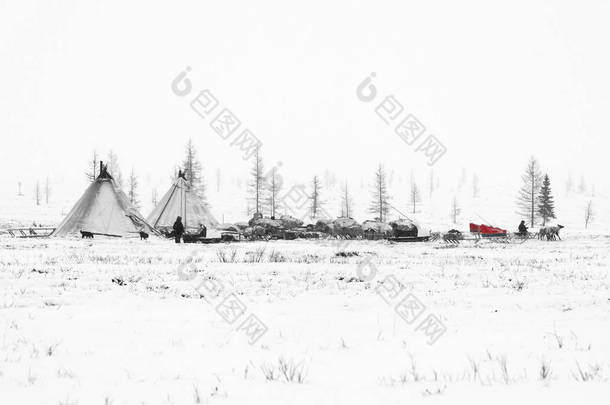 游牧部落准备到季节迁<strong>移</strong>在极地苔原在霜冻的日子里.