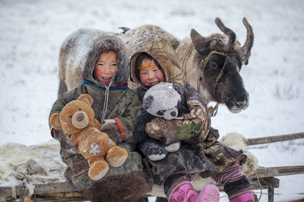 西伯利亚亚马尔半岛 驯鹿是冬季的一群驯鹿，驯鹿