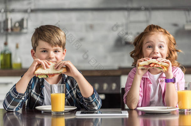 可爱<strong>的小</strong>兄弟和妹妹吃三明治, 看着相机