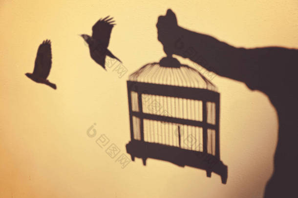 超现实主义的概念被设置自由与鸟飞出的笼子由一个人持有的墙壁上的阴影色调与复古复古 instagram 过滤器 
