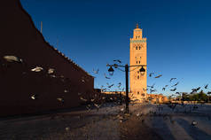 库图比亚清真寺尖塔在麦地那区在早上。摩洛哥 马拉喀什.