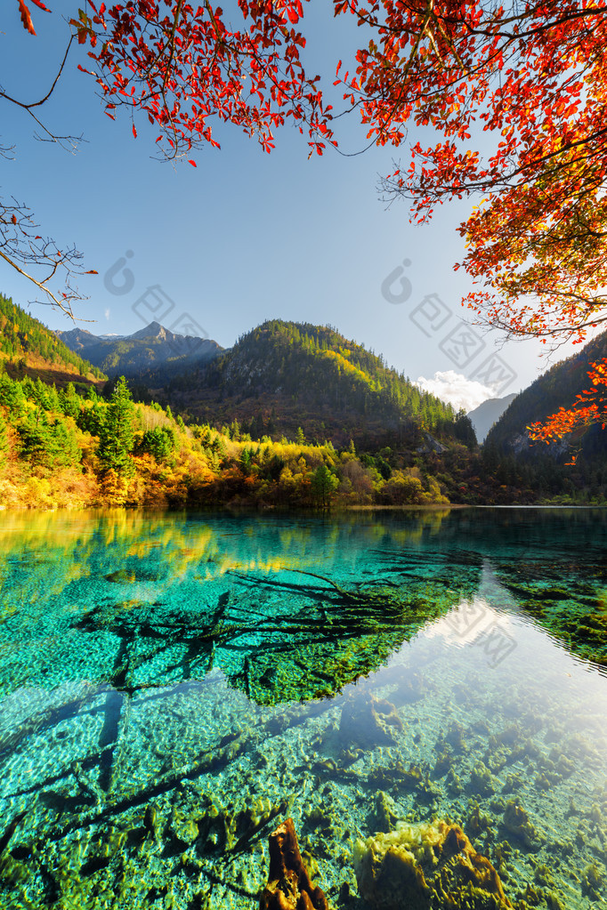 五花湖五花湖的景观在五颜六色的秋天树林中