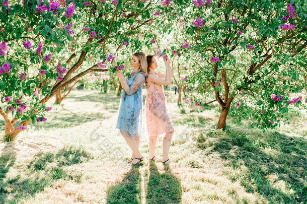  年轻的双胞胎<strong>姐妹</strong>在盛开的夏季植物园不同的礼服