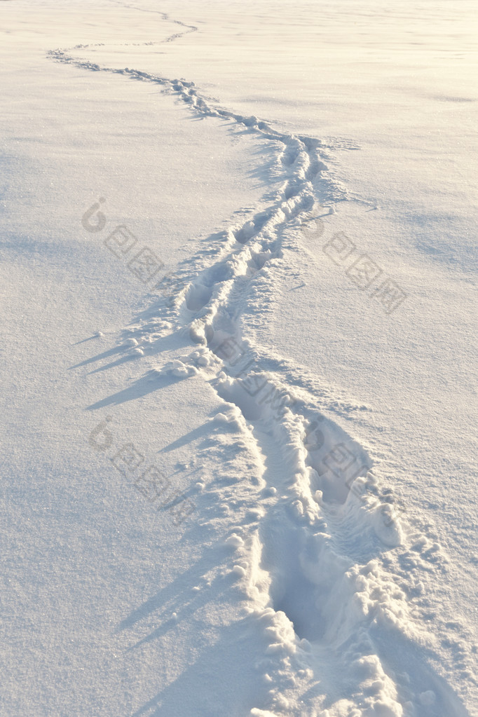 雪地上的脚印