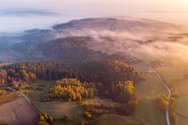 色彩艳丽的日出笼罩着波兰的森林和乡村。 空中D