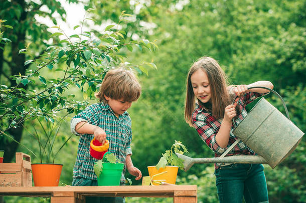 美国孩子在农场。甜蜜的童年快乐的孩子在夏天的<strong>田野</strong>里。我们喜欢一起呆在农场里。情人节的孩子。在花园里浇花.