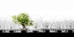 白色背景下有树的一排灯泡的照片;生态学、节电、站出来、独特与创新的概念