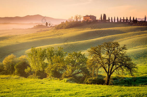 阳光明媚的早晨在托斯卡纳附近的皮恩扎村, 托斯卡纳, 意大利