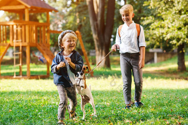 快乐的孩子们在公园里和他们的狗玩耍。小狗杰<strong>克</strong> · 鲁塞尔，小狗和孩子们在户外。幸福、友谊、动物和生活方式.