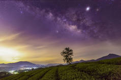 越南府寿龙哥绿茶山概览.