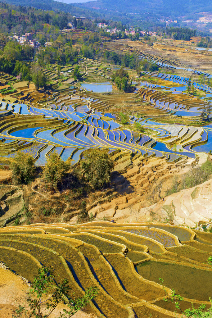 云南元阳地景