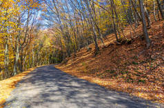 克里米亚半岛的秋天照片，古老的公路，古老道路的风情的魅力,