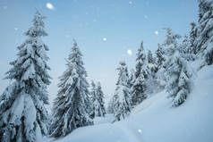 在山森林里下雪的圣诞美景。人行道在雪地里。冬天风景与云杉的树