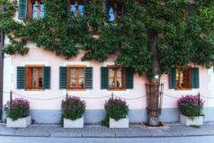 典型的奥地利高山房子与明亮的花在阳台和树, 哈尔施塔特, 奥地利, 欧洲