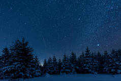 黑暗的天空充满了闪亮的星星在喀尔巴泰山脉在冬季森林在夜间
